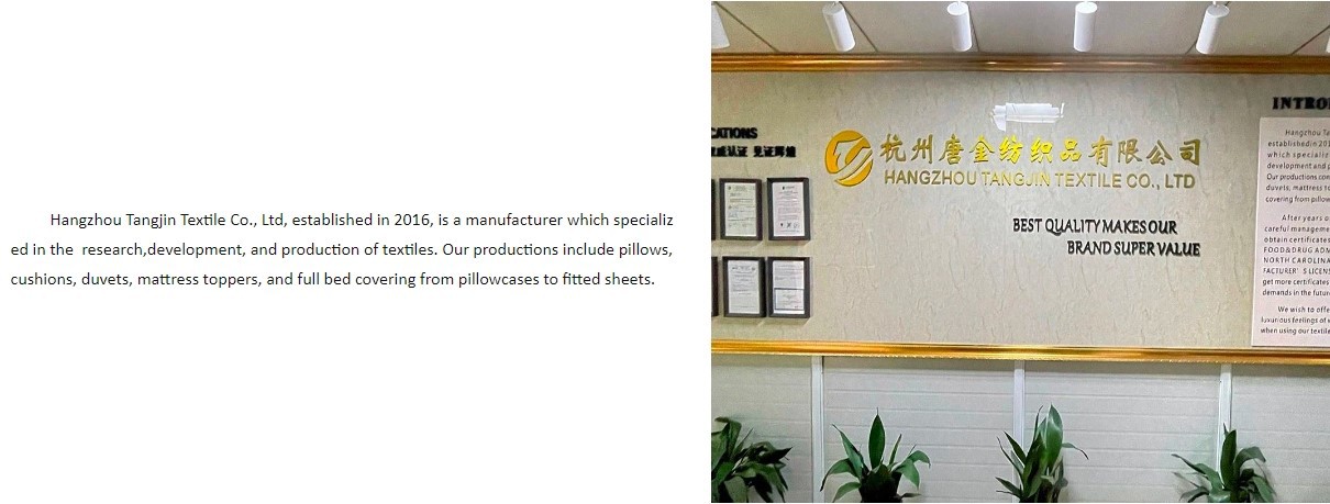 company company