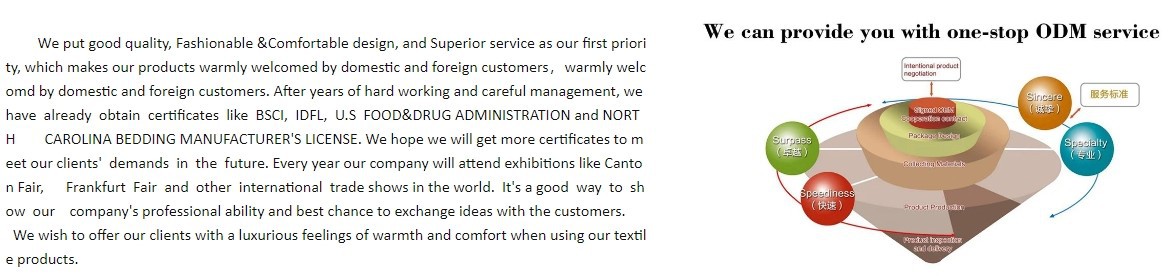 company profile company profile